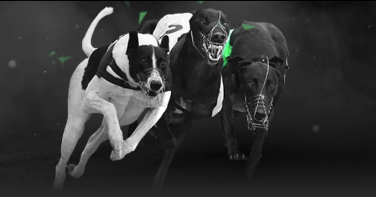 揭秘幕后,阿尔特塔一,语道破,Bet365官网,bet365体育,bet365中国怎么用,bet365中国备用网址,bet365足球,bet365台湾,bet365开户,bet365网站